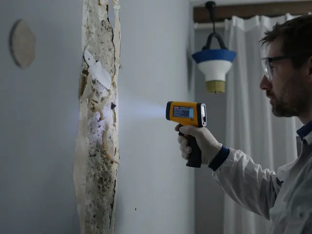 Professionelle Schimmelsanierung: Kosten und Verfahren im Haus